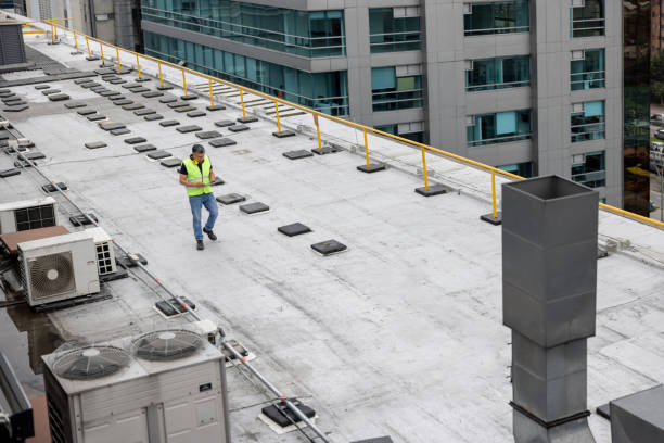 Best Roof Moss and Algae Removal  in Shingletown, CA