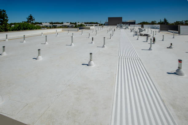 Best Roof Moss and Algae Removal  in Shingletown, CA